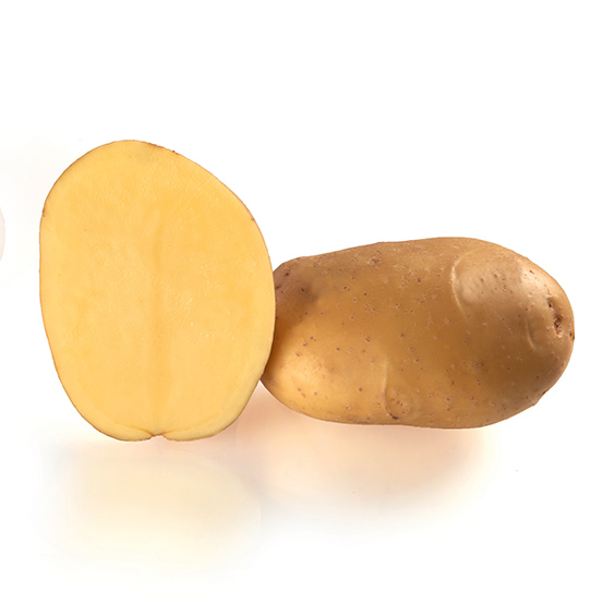 potato