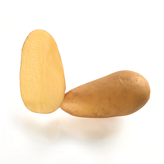 potato