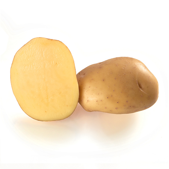 potato