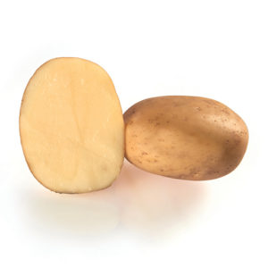 Pomme de terre BETTY