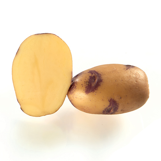 potato