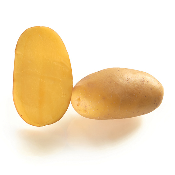 potato