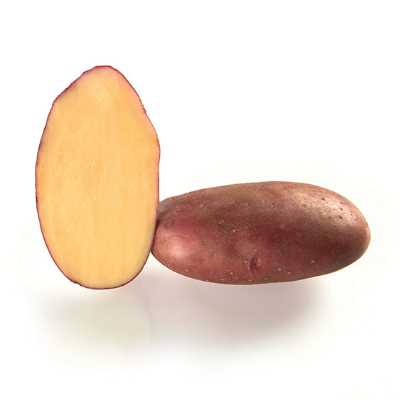 potato