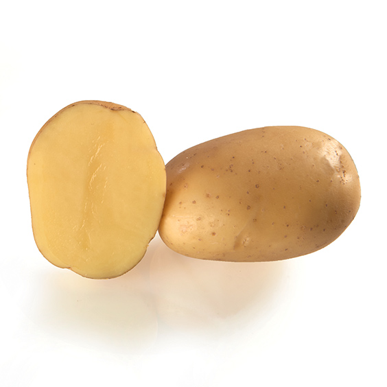 potato