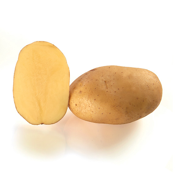 potato