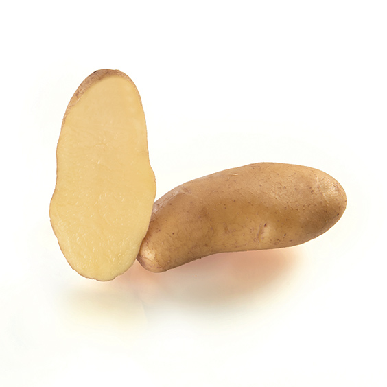 potato