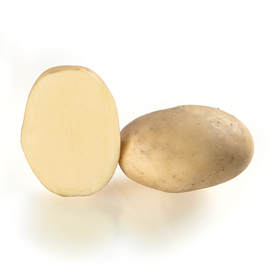 potato