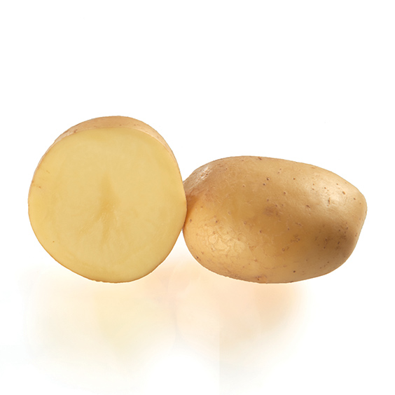 potato