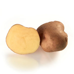 Pomme de terre NAFIDA