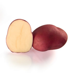 Pomme de terre RED MAGIC