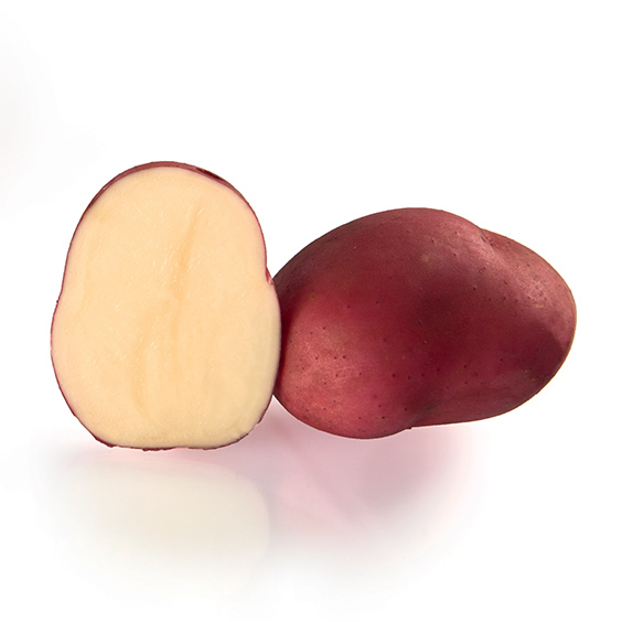 Pomme de terre RED MAGIC