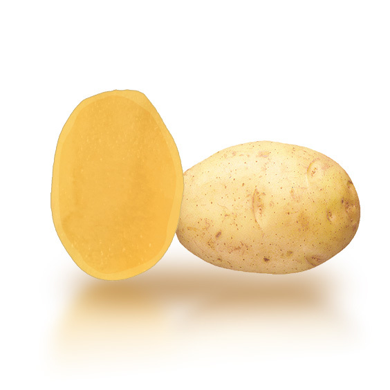 potato