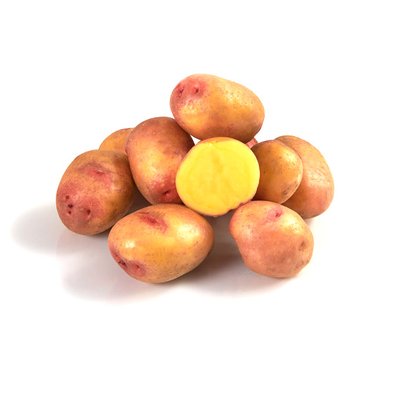 Variété de pomme de terre CATIMINI