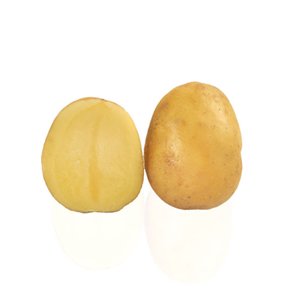 potato