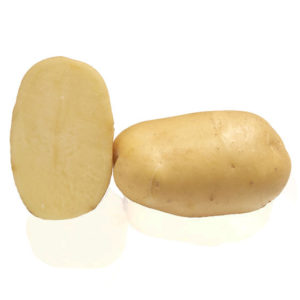 Pomme de terre FASTY