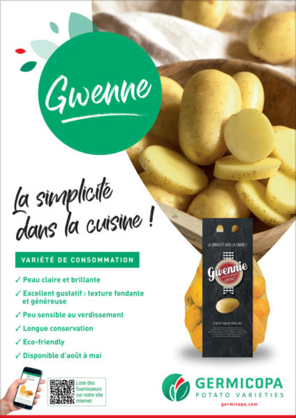 Annonce Pomme de terre Gwenne