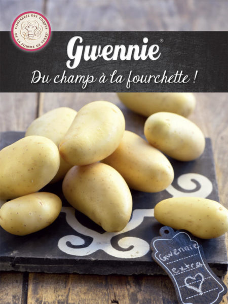 Pomme de terre Gwennie