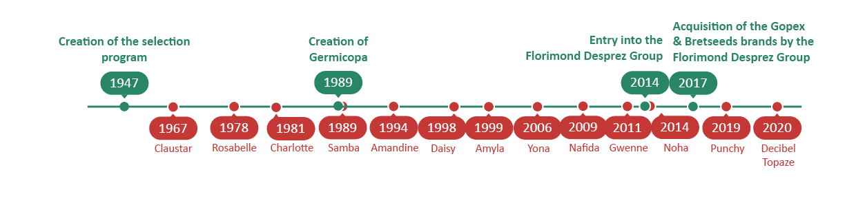 Key Steps & Iconic Varieties