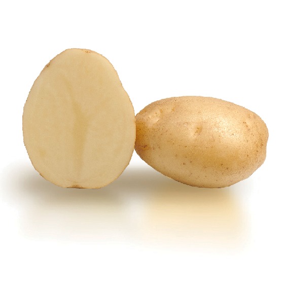 potato