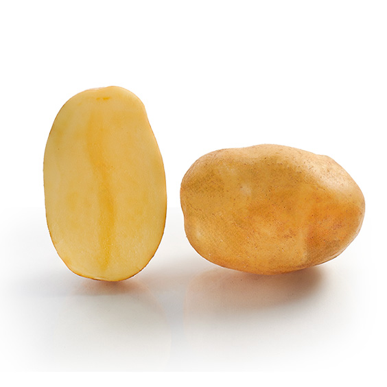 pomme de terre dodge