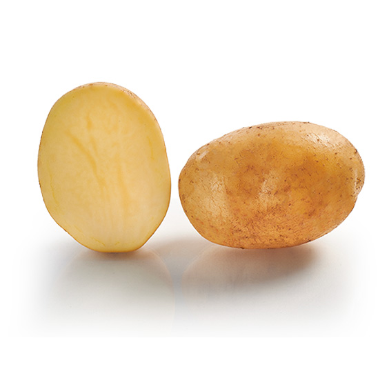 Pomme de terre BAHIA